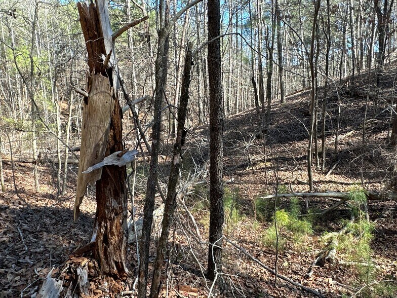 More Photos Of 3472 Prior Station Rd, Cedartown Land For Sale