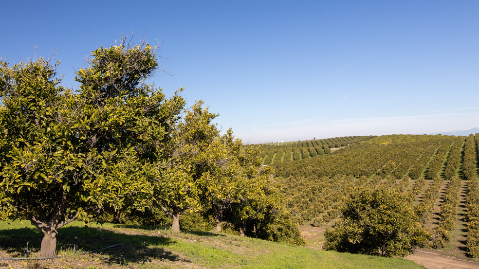 Primary Photo Of 14265 Highway 65, Bakersfield Land For Sale