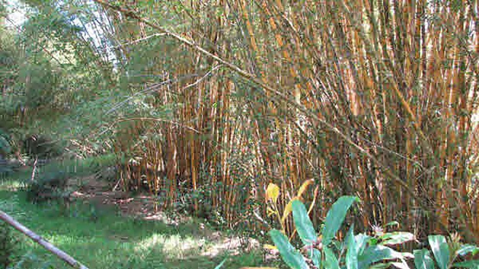 More Photos Of 27-5159 Puia Rd, Papaikou Land For Lease