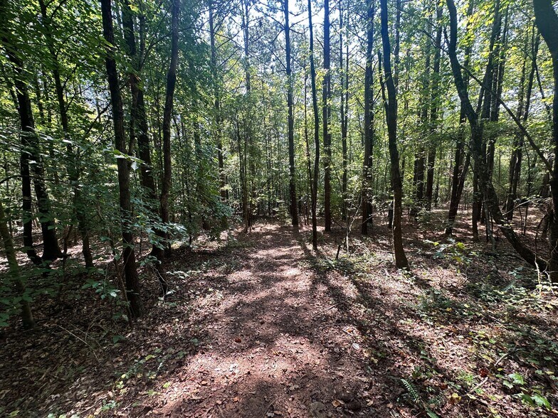 More Photos Of 00 Frix Rd, Cumming Land For Sale