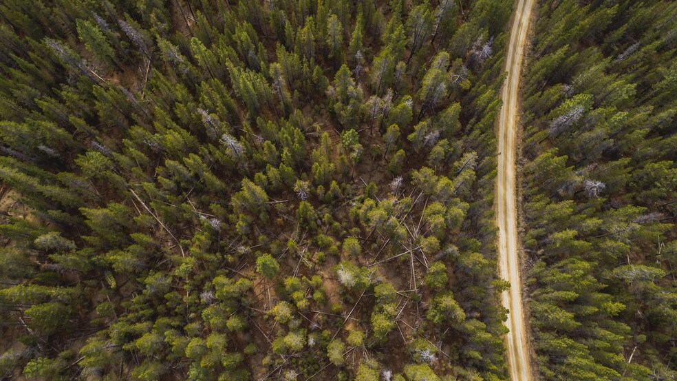 More Photos Of US Forest Service Rd, Silver Lake Land For Sale