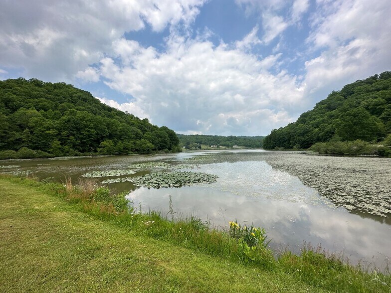 More Photos Of 14224 Mud Fork, Falls Mills Land For Sale