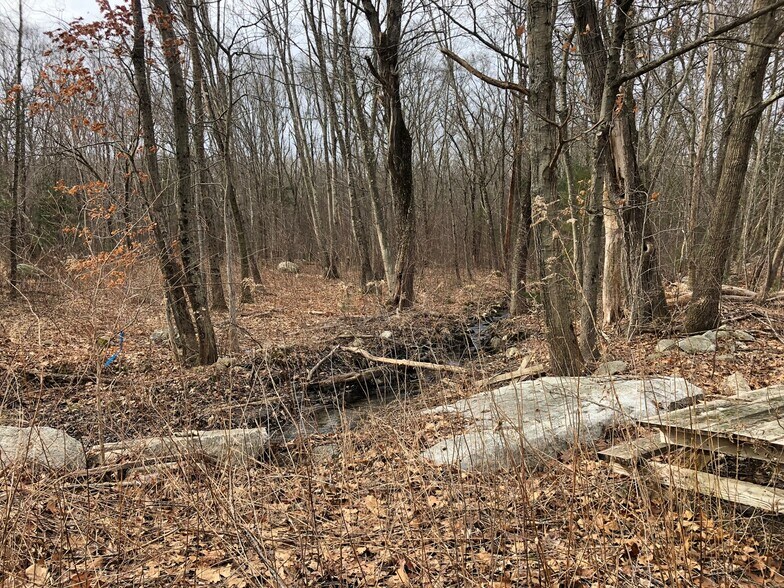 61 Maple Ave, South Grafton, MA 01560 Land For Sale