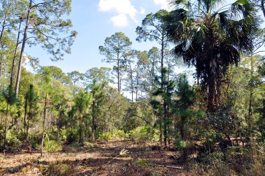 More Photos Of Cortez Blvd & Marys Fish Camp Rd, Weeki Wachee Land For Sale