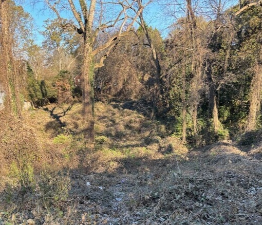Primary Photo Of 1871 Lakewood Ave SE, Atlanta Land For Sale