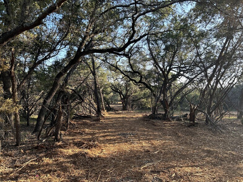 More Photos Of 301 CR 282, Liberty Hill Land For Sale