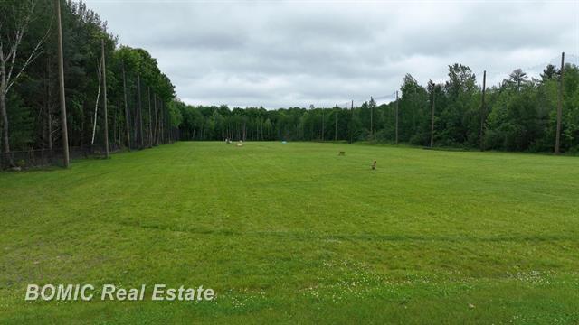 More Photos Of 11850 S Gera Rd, Birch Run Restaurant For Sale