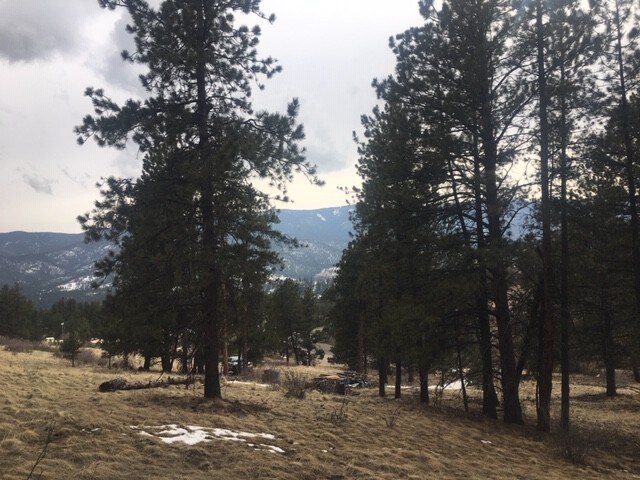 More Photos Of 62430 US Highway 285, Bailey Land For Sale