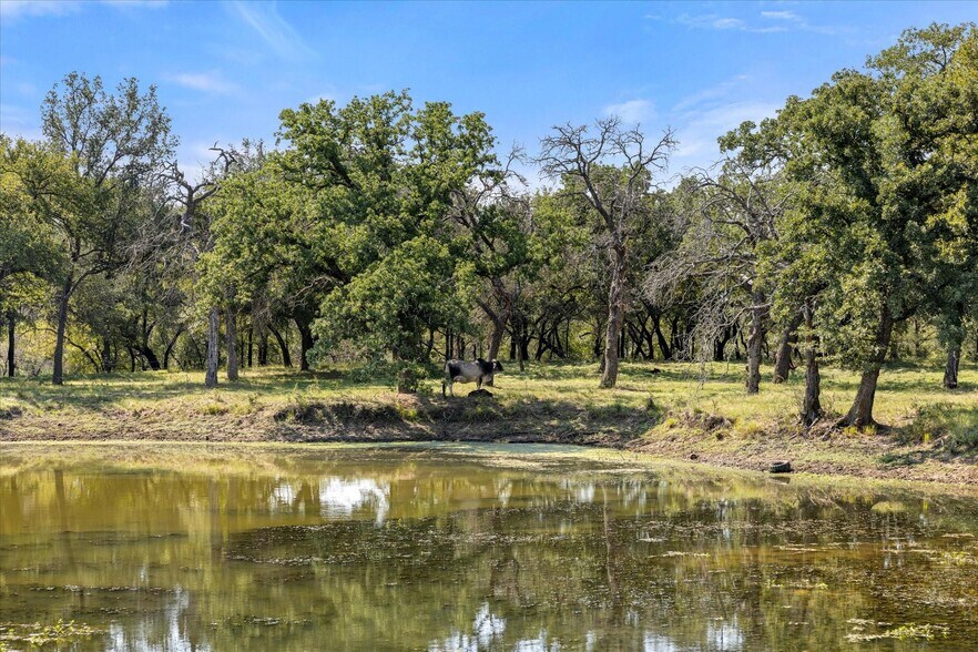 More Photos Of 11230 Light Rd, Lipan Land For Sale
