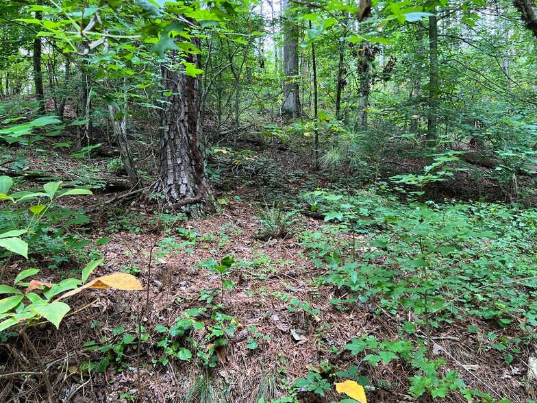 More Photos Of Pinyan, Ranger Land For Sale