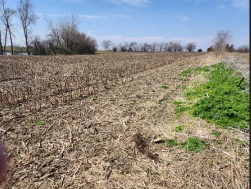 More Photos Of 0 Hanover, Carlock Land For Sale