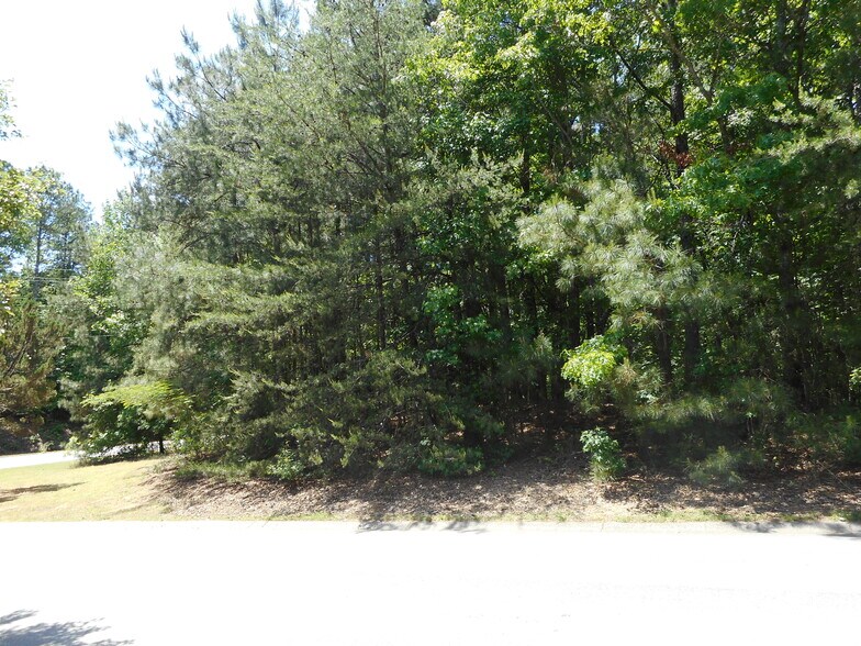 More Photos Of 00 Holly St, Canton Land For Sale