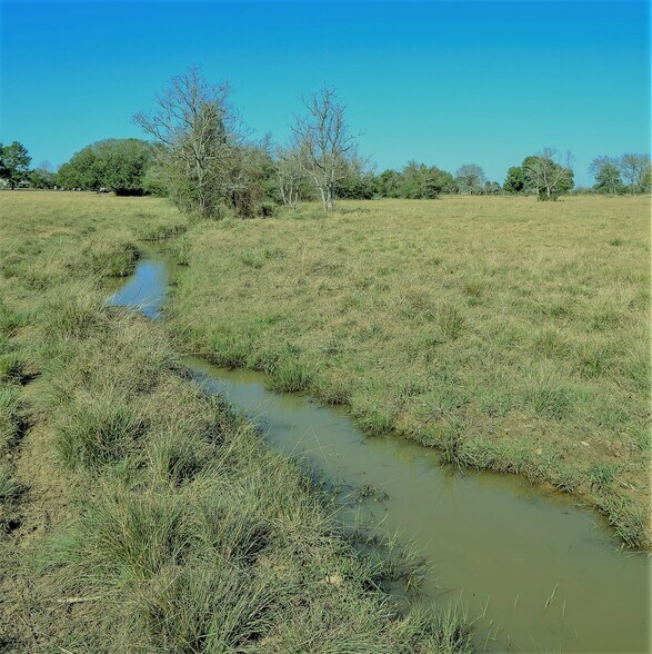 More Photos Of 26266 Fields Store Rd., Waller Land For Sale