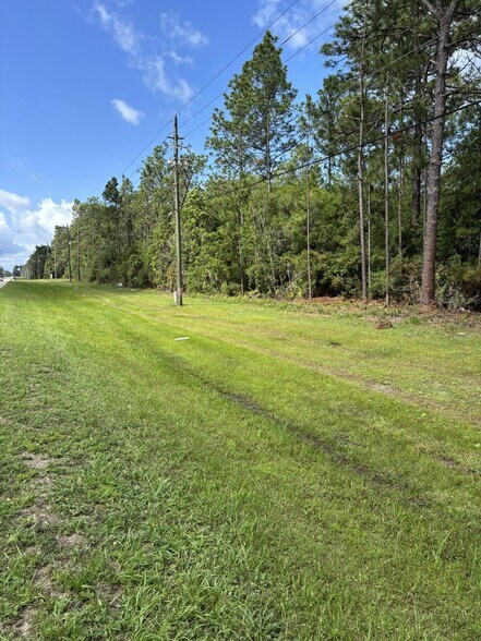 More Photos Of 14034 U.S. 331 Business, Freeport Land For Sale