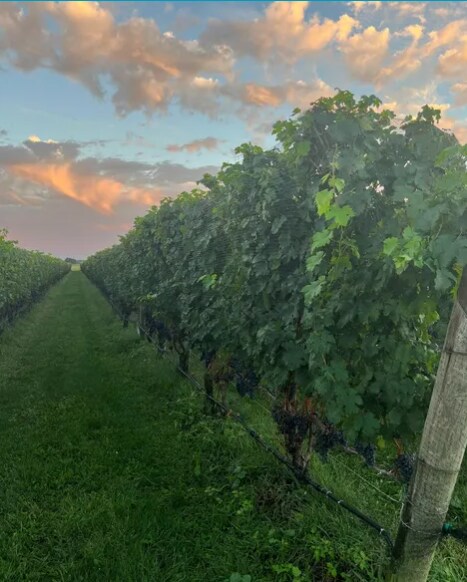 More Photos Of 6094 Sound Ave, Jamesport Land For Sale