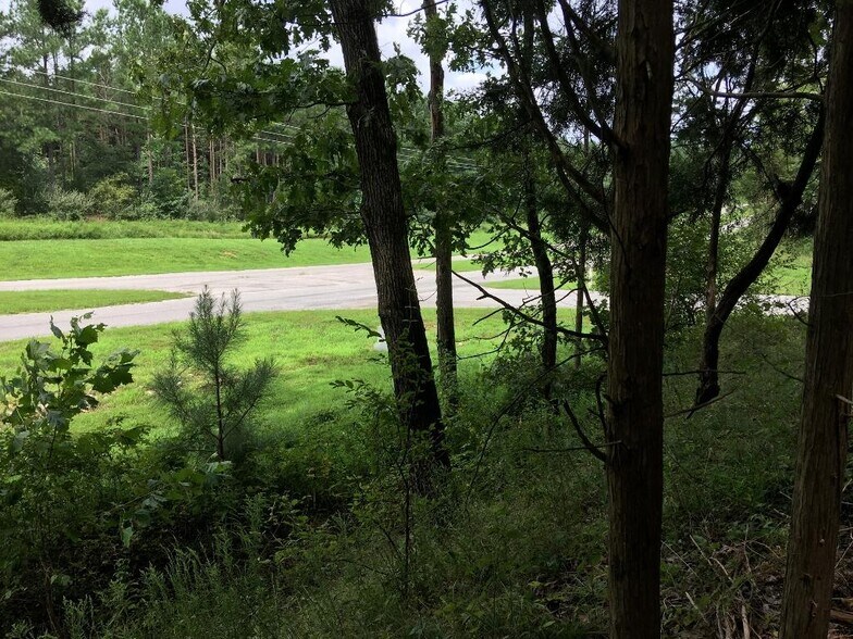 More Photos Of Parrish Ridge Ln, Goreville Land For Sale
