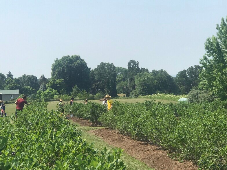 More Photos Of 552 Lick Creek Rd, Leasburg Land For Sale