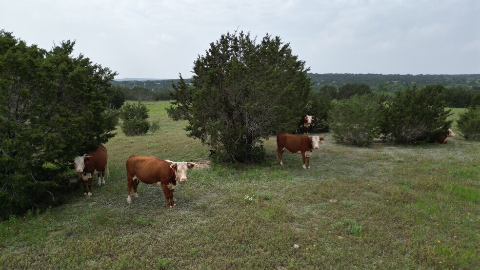 More Photos Of Highway 281, Lampasas Land For Sale
