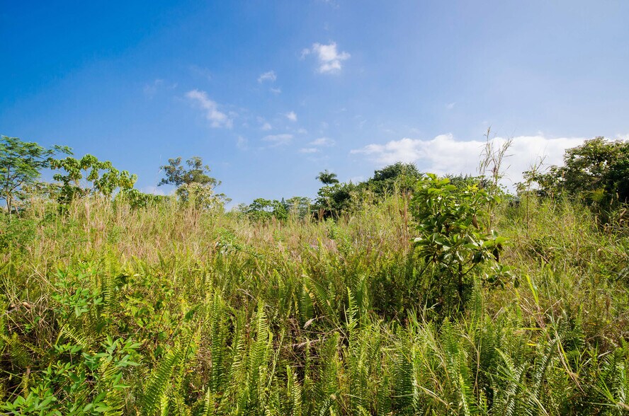 More Photos Of 15-2815 Pahoa Village, Pahoa Land For Sale