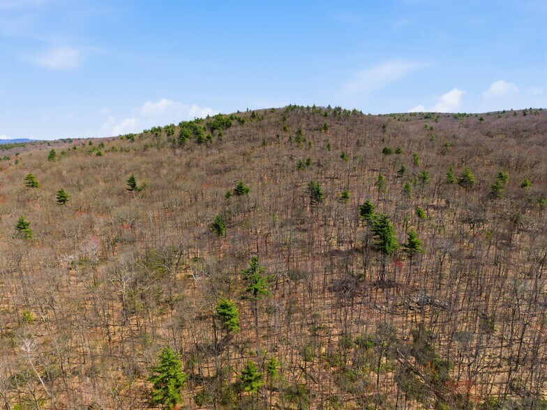 More Photos Of 0 Dry Hill Road, Montague Land For Sale