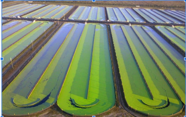 More Photos Of 750 154th Ave Ave, Vero Beach Warehouse For Sale