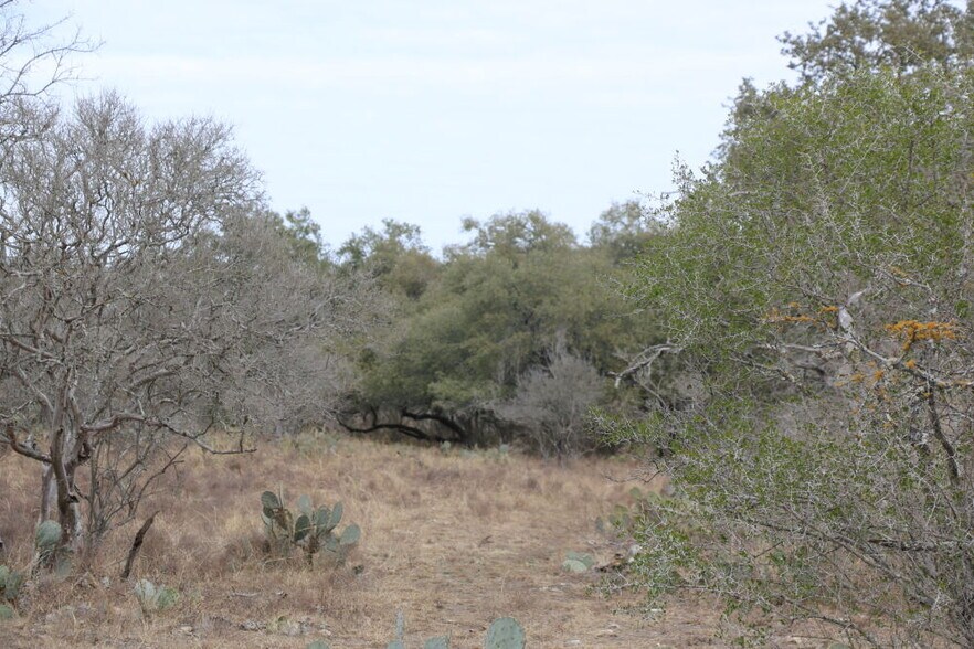 More Photos Of 00 Private Road 3730, San Antonio Land For Sale