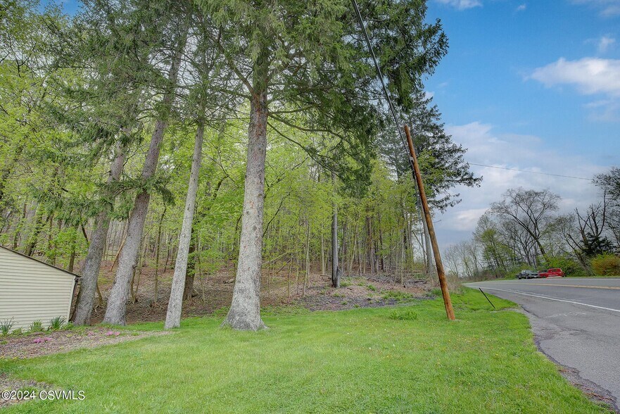 More Photos Of 242 Snyder Ln, Millmont Land For Sale