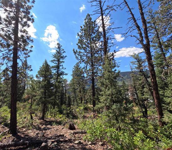 More Photos Of 48 Ponderosa Trl, Durango Land For Sale