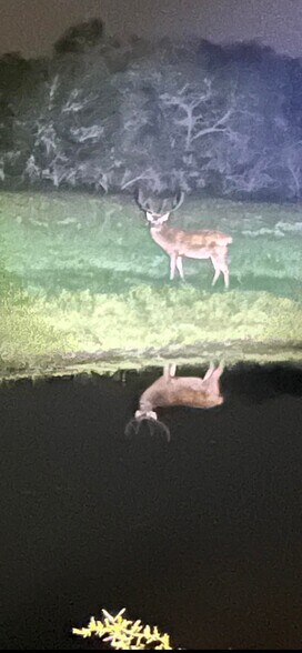 More Photos Of 5734 County Road 305, Beeville Land For Lease