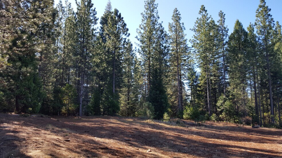 More Photos Of Winding Way, Grizzly Flats Land For Sale