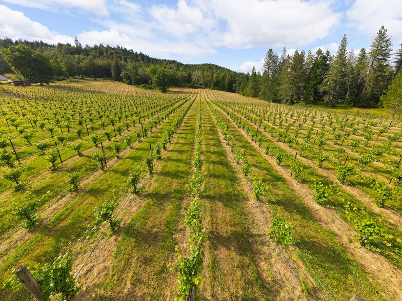 More Photos Of 1329 Larson Rd, Roseburg Winery Vineyard For Sale