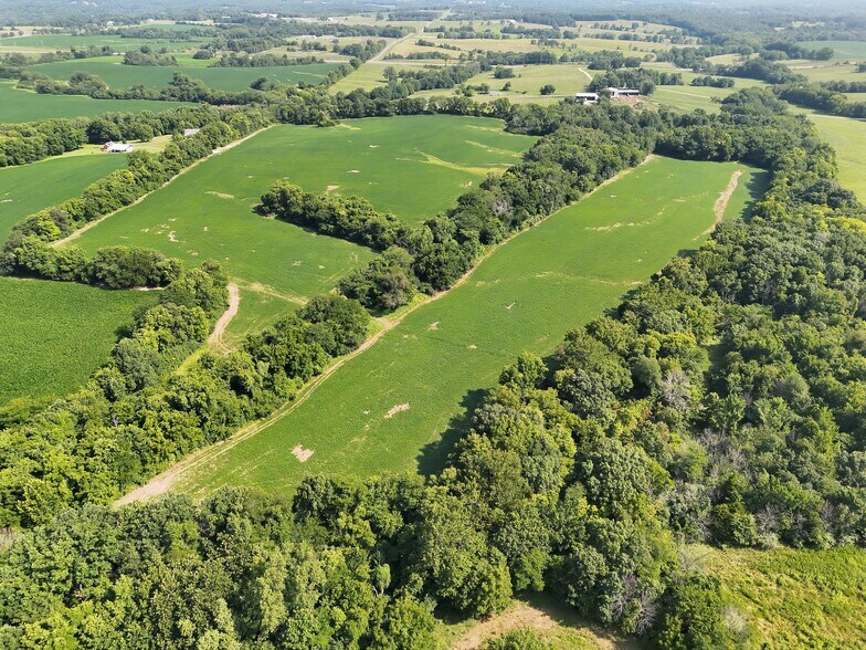 More Photos Of Walnut Hill Ln. (36.31+/- Acres), Elsberry Land For Sale