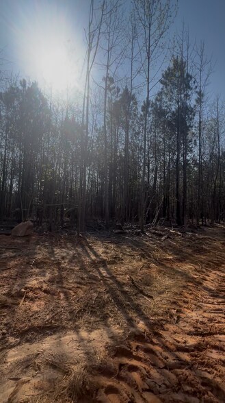More Photos Of 0 US 19, Hampton Land For Sale