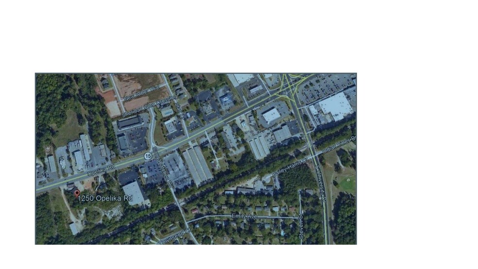 Primary Photo Of 1250 Opelika Rd, Auburn Convenience Store For Sale