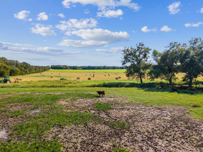 More Photos Of 324 E Highway 6, Iredell Land For Sale