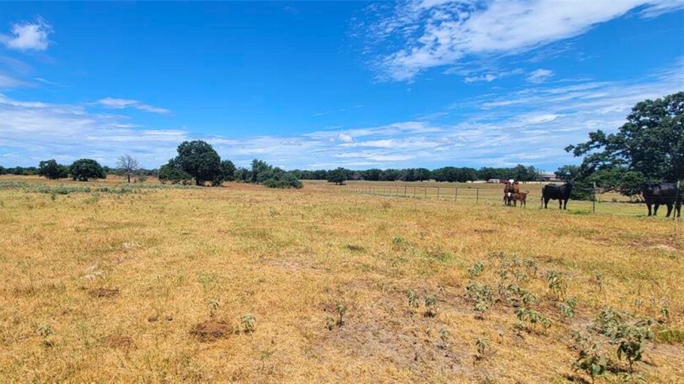 More Photos Of TBD N 000 Hwy 77, Rockdale, Texas 76567, Rockdale Land For Sale