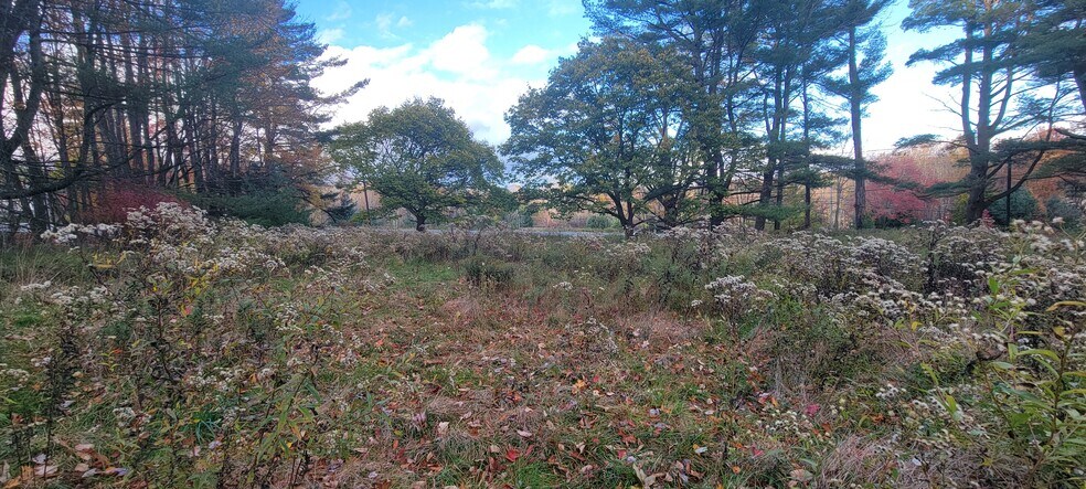 More Photos Of 1195 State Route 17B, Bethel Land For Sale