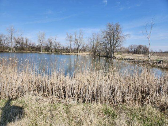 More Photos Of 0 Hanover, Carlock Land For Sale