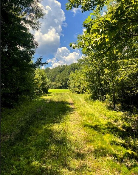 More Photos Of 17796 Dry Branch loop, Northport Land For Sale