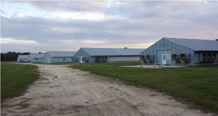 More Photos Of 1251 Bardin Rd, Palatka Land For Sale