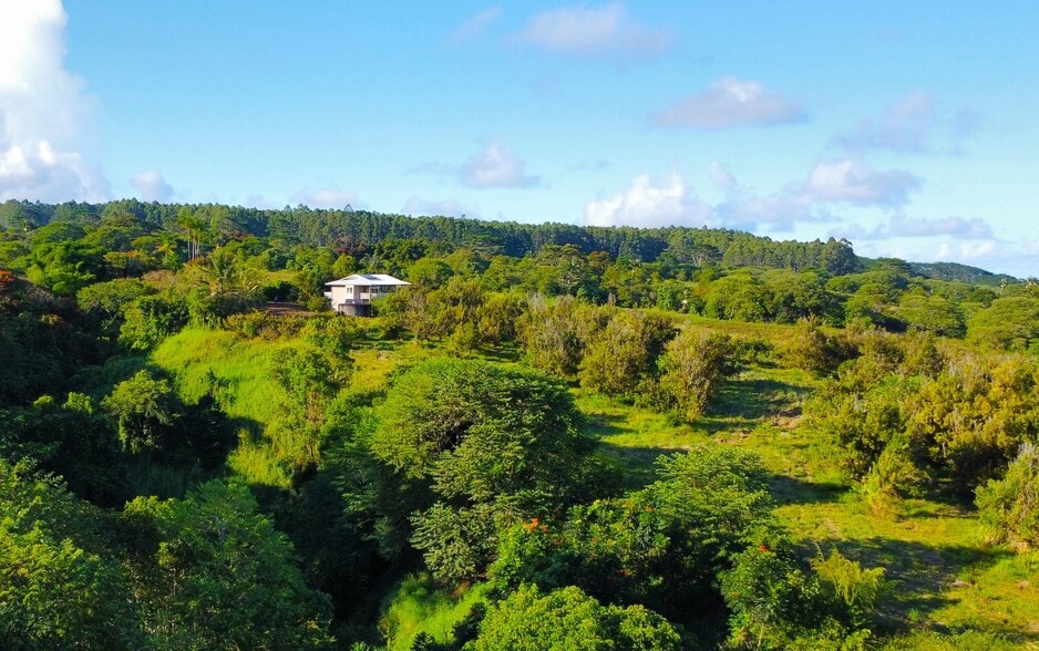 More Photos Of 2525 Maikalani St, Hilo Land For Sale