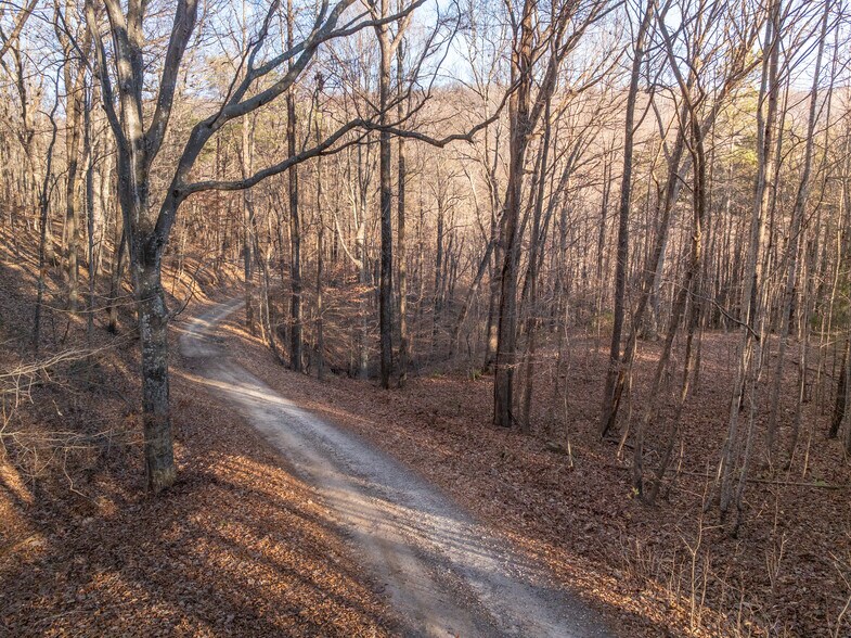 More Photos Of 00 Pittman Rd, Landrum Land For Sale