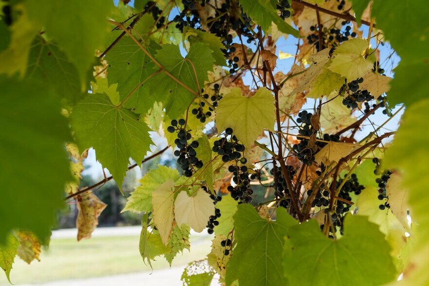 More Photos Of 9090 M-68, Alanson Storefront For Sale