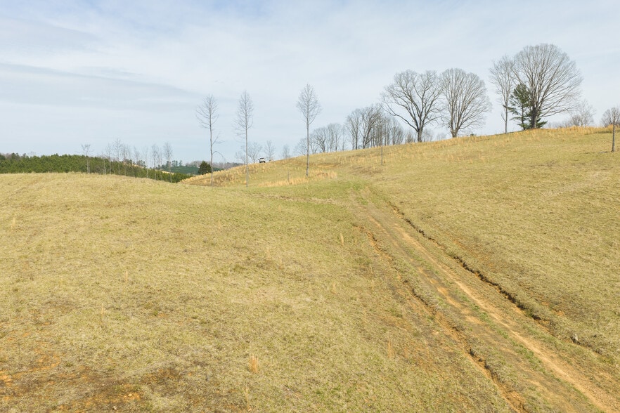 More Photos Of TBD Carsonville Road, Independence Land For Sale