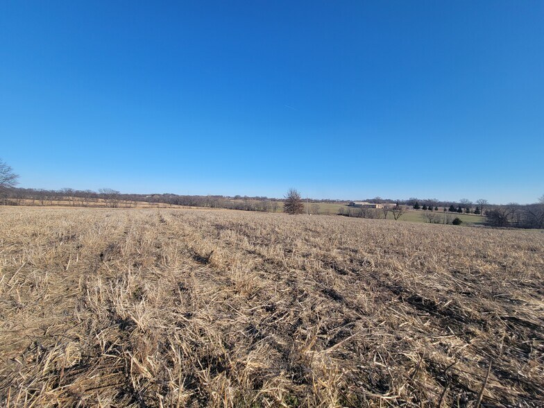 More Photos Of 171 Windy Hill Rd. (20+/- Acres), Elsberry Land For Sale