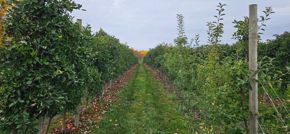 More Photos Of 5630 Norris Rd, North Rose General Retail For Sale