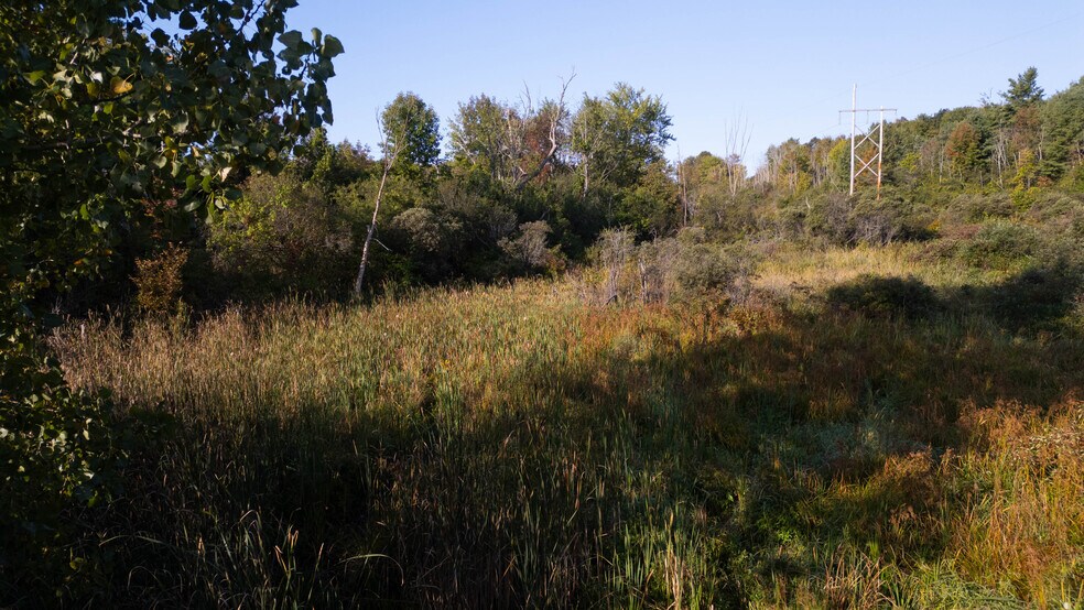 More Photos Of 219 Mudge rd, Delanson Land For Sale