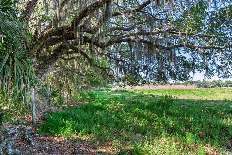 More Photos Of 419 Jameson Rd, Lithia Land For Sale