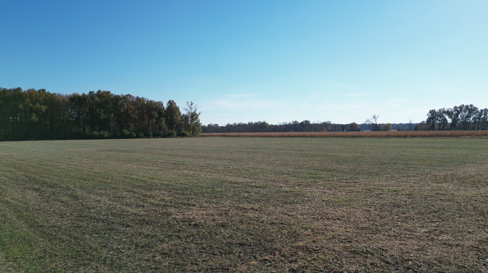 More Photos Of 9356 St Rt 350, Clarksville Land For Sale