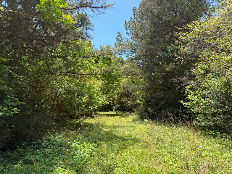 More Photos Of 1593 Old Alabama rd, Taylorsville Land For Sale